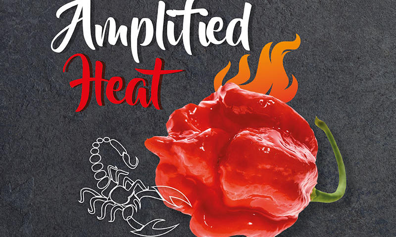 Amplified Heat – Spicy Seasonings
